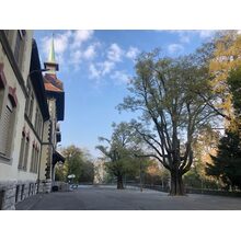 2019-04-13_18-45-03