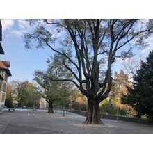 2019-04-13_18-44-42