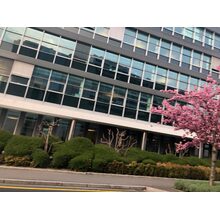 2019-04-12_18-31-46