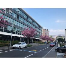 2019-04-12_18-31-37