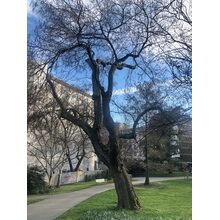2019-04-05_18-23-58
