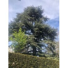 2019-04-05_17-31-45