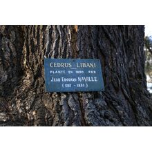 2019-03-24_18-02-43