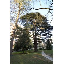 2019-03-24_17-54-39