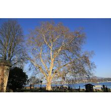 2019-03-24_16-57-12