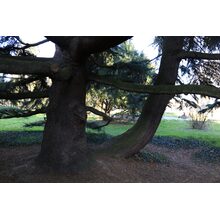 2019-03-24_16-54-02