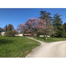 2019-03-24_14-47-00
