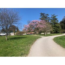 2019-03-24_14-46-57