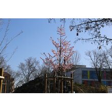 2019-03-24_09-40-43