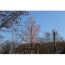 2019-03-24_09-40-32