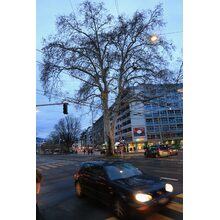 2019-03-02_18-28-06