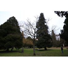2019-03-02_18-09-34