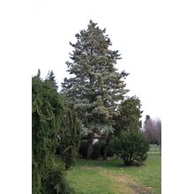 2019-03-02_16-45-02