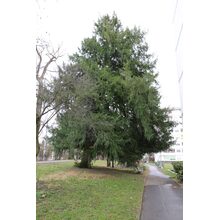 2019-03-02_16-18-33