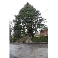 2019-03-02_14-11-34