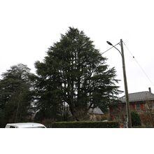 2019-03-02_14-11-19