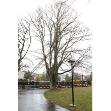 2019-03-02_14-02-10
