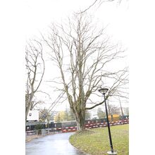 2019-03-02_14-01-59