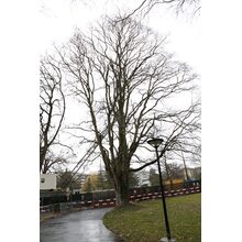 2019-03-02_14-01-40