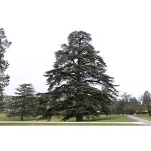 2019-03-02_13-57-11