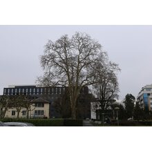 2019-03-02_13-52-22