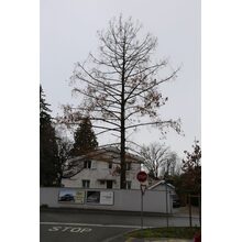 2019-03-02_13-42-02
