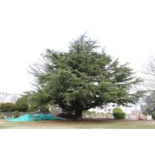 2019-03-02_12-23-38