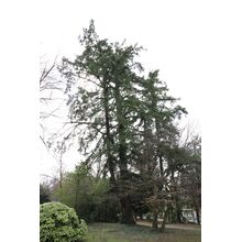 2019-03-02_12-00-56