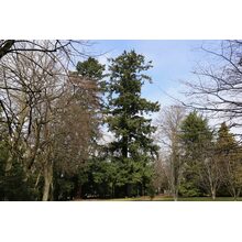 2019-03-02_11-59-26