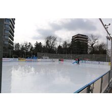 2019-03-02_11-56-11