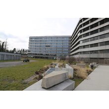 2019-03-02_11-52-48