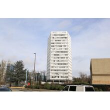 2019-03-02_11-13-55