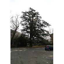 2019-03-02_11-04-59