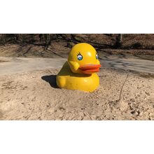 2019-02-24_13-58-21