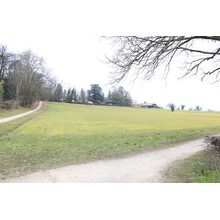 2019-02-23_10-53-21