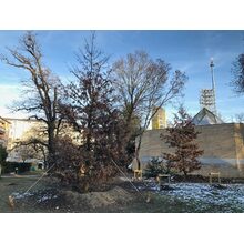 2019-01-26_16-24-37
