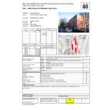 Dps_80