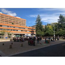 2019-09-28_13-41-30