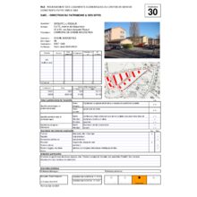 Dps_30