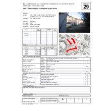 Dps_29