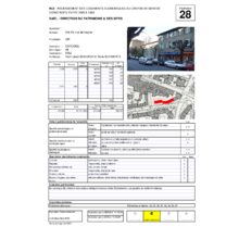 Dps_28