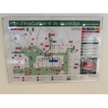 IMG_7515