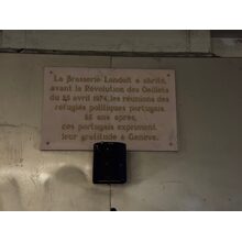 IMG_7288