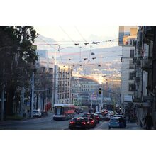 IMG_4749