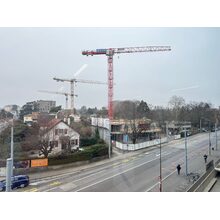 IMG_7184
