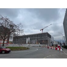 IMG_6932