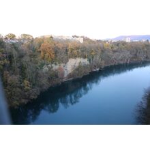 IMG_4728