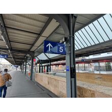 IMG_6790