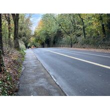 IMG_0549