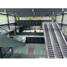 IMG_1950